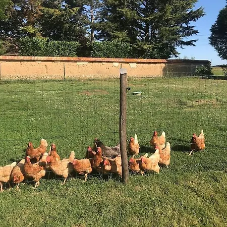 Tiny House A La Ferme Pres Paris Et Center Parcs. Semesterbostad
