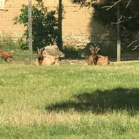 Tiny House A La Ferme Pres Paris Et Center Parcs. Boissy-sur-Damville