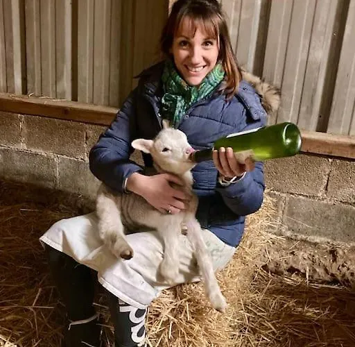 Tiny House A La Ferme Pres Paris Et Center Parcs. * Boissy-sur-Damville