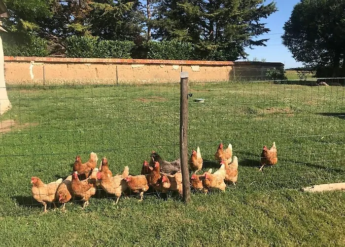 Tiny House A La Ferme Pres Paris Et Center Parcs. Σπίτι διακοπών