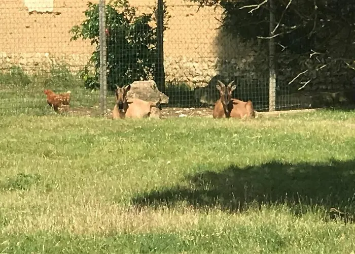Tiny House A La Ferme Pres Paris Et Center Parcs. Boissy-sur-Damville