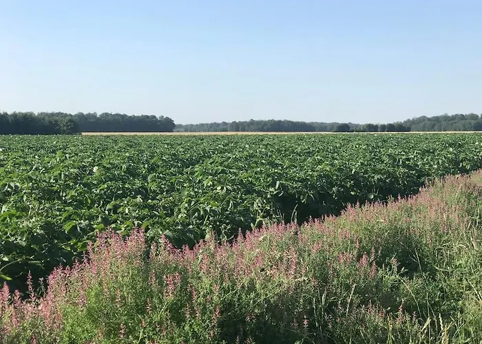 Σπίτι διακοπών Tiny House A La Ferme Pres Paris Et Center Parcs.