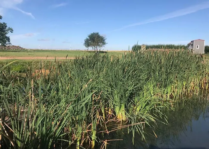 Σπίτι διακοπών Tiny House A La Ferme Pres Paris Et Center Parcs.